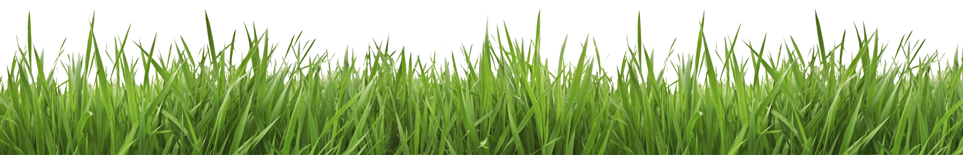 Taylor Mowing Service